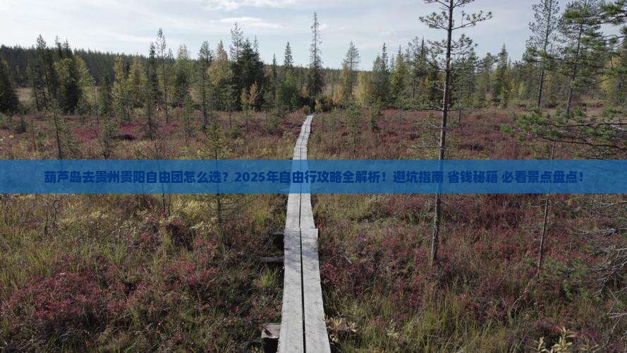 葫芦岛去贵州贵阳自由团