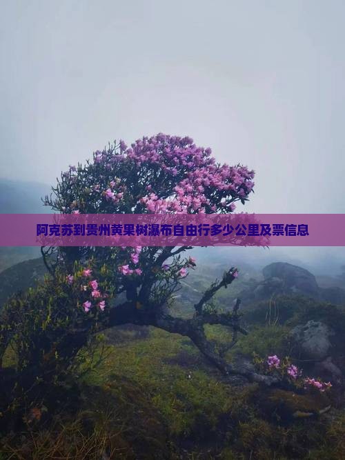 阿克苏到贵州黄果树瀑布自由行