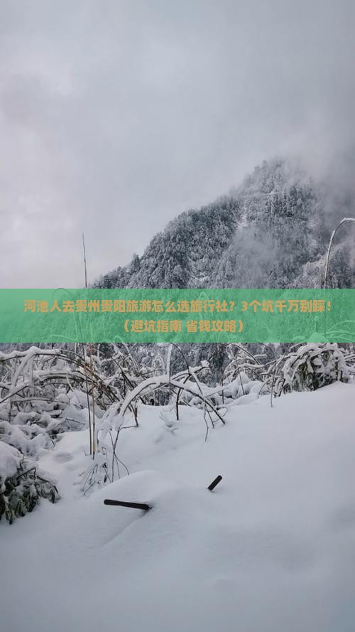 河池去贵州贵阳旅行社