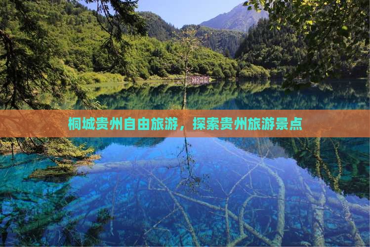 桐城去贵州自由团