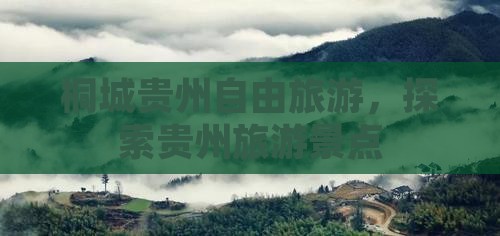 桐城去贵州自由团