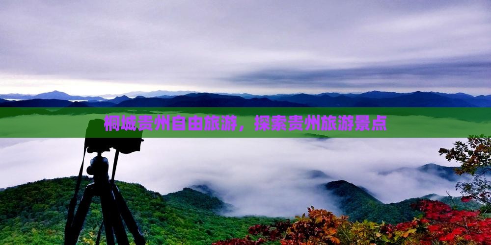 桐城去贵州自由团