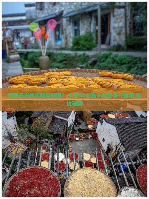 张掖去贵州贵阳自由团