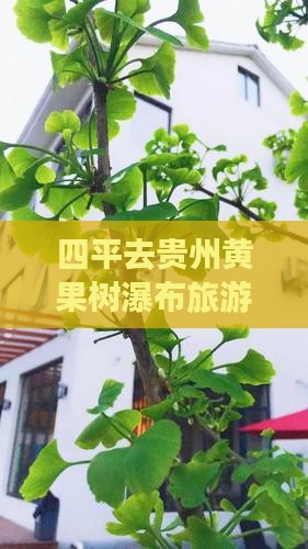四平去贵州黄果树瀑布一日