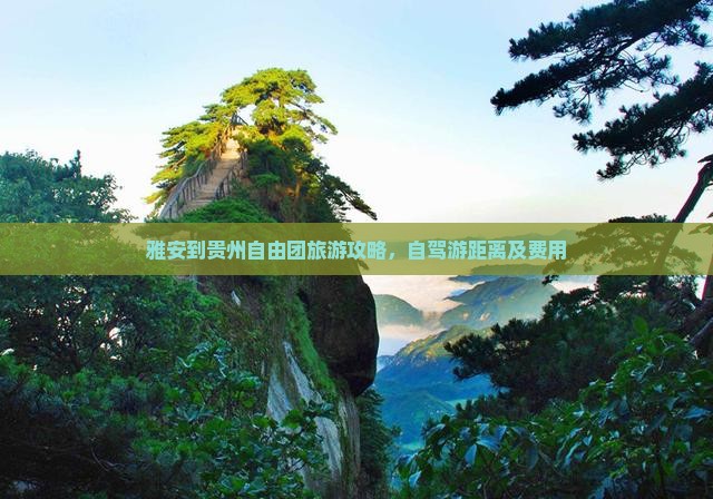 雅安到贵州自由团