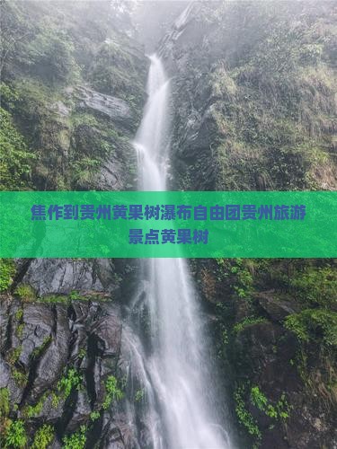 焦作到贵州黄果树瀑布自由团