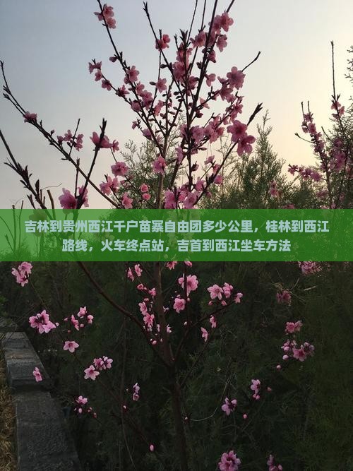 吉林到贵州西江千户苗寨自由团