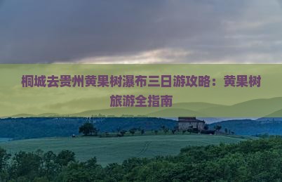 桐城去贵州黄果树瀑布三日游