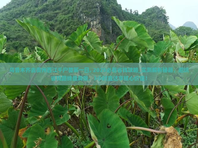乌鲁木齐去贵州西江千户苗寨一日