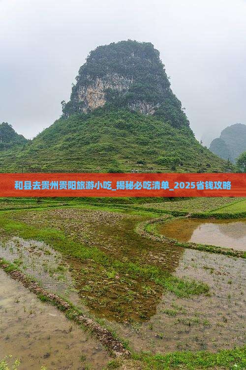 和县去贵州贵阳旅游小吃