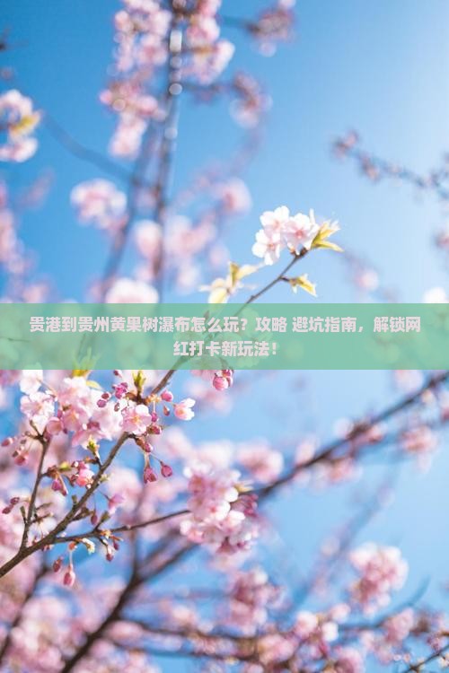贵港到贵州黄果树瀑布哪里玩