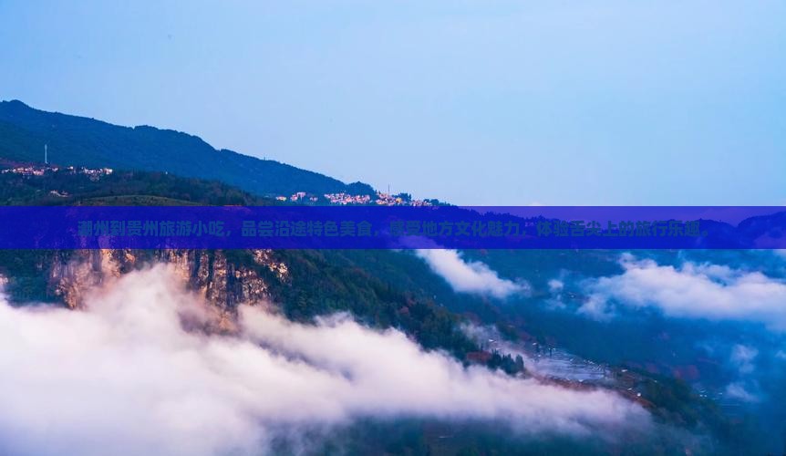 潮州到贵州旅游小吃