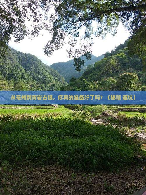 亳州到贵州青岩古镇个人游