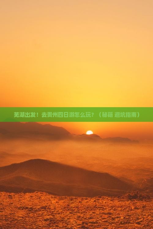 芜湖去贵州四日游