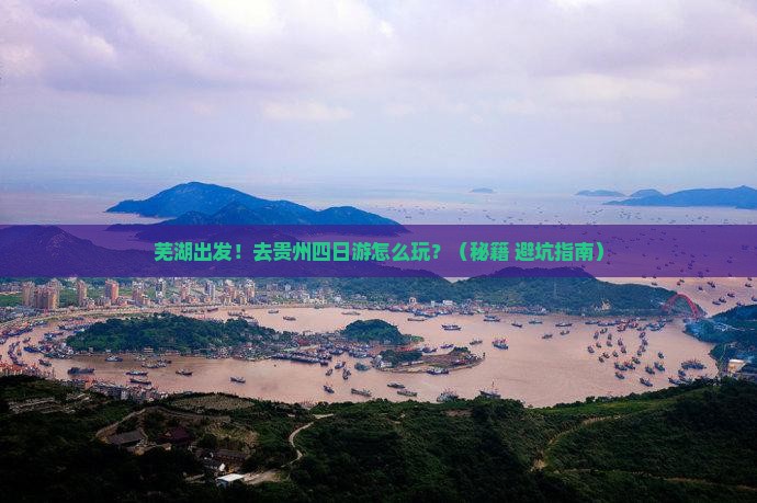 芜湖去贵州四日游