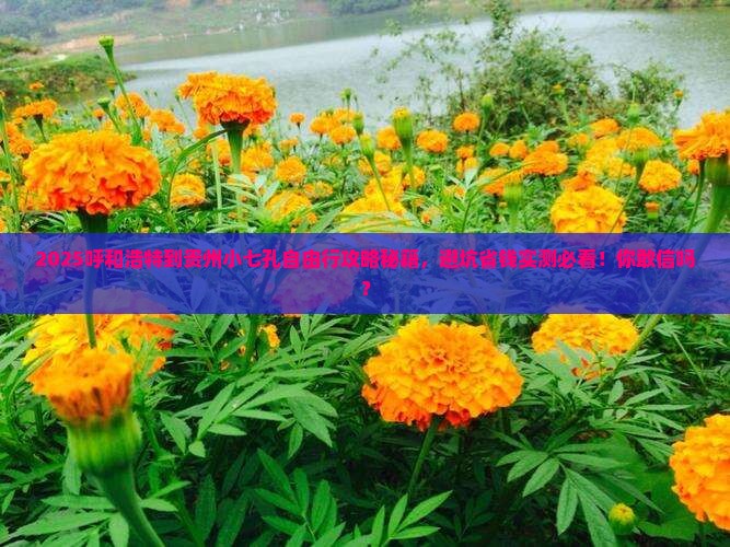 呼和浩特到贵州小七孔自由团