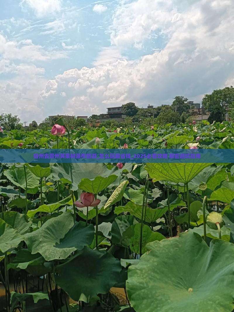 宿州去贵州黄果树瀑布旅游