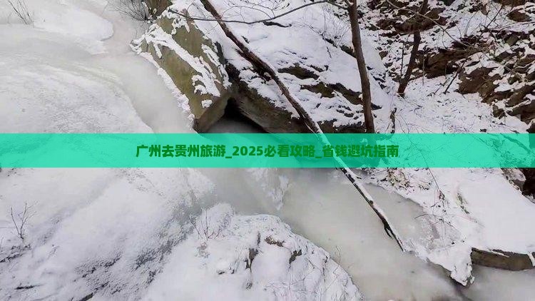 广州去贵州旅游