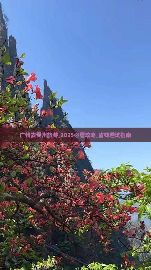 广州去贵州旅游
