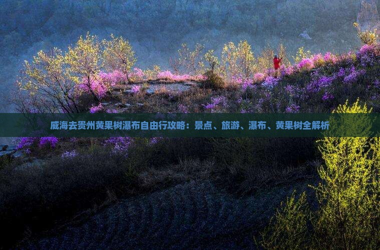 威海去贵州黄果树瀑布自由行
