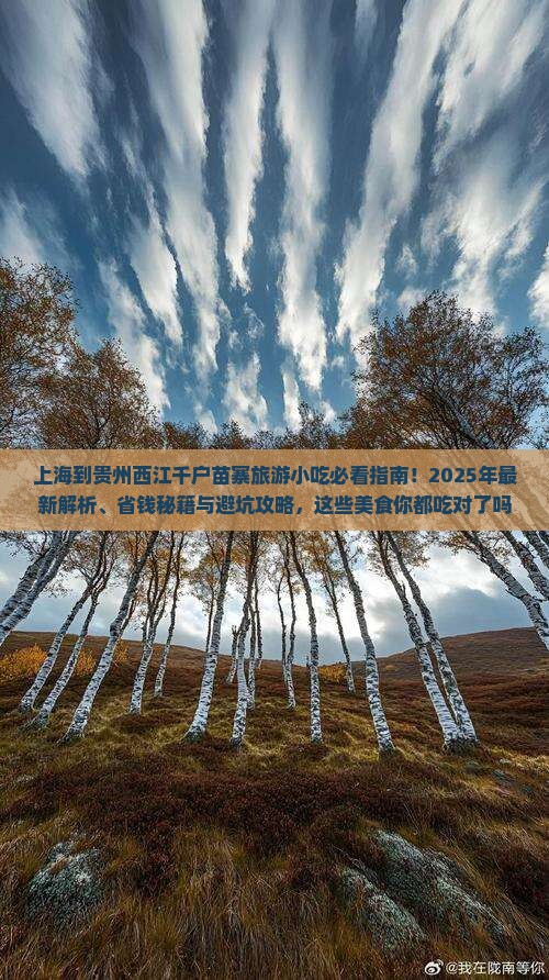 上海到贵州西江千户苗寨旅游小吃
