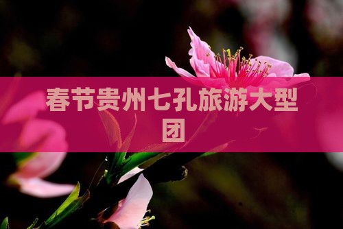 春节到贵州小七孔大型旅游团