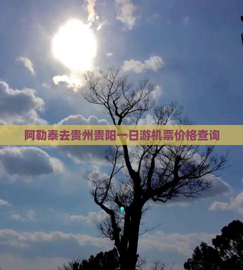阿勒泰去贵州贵阳一日