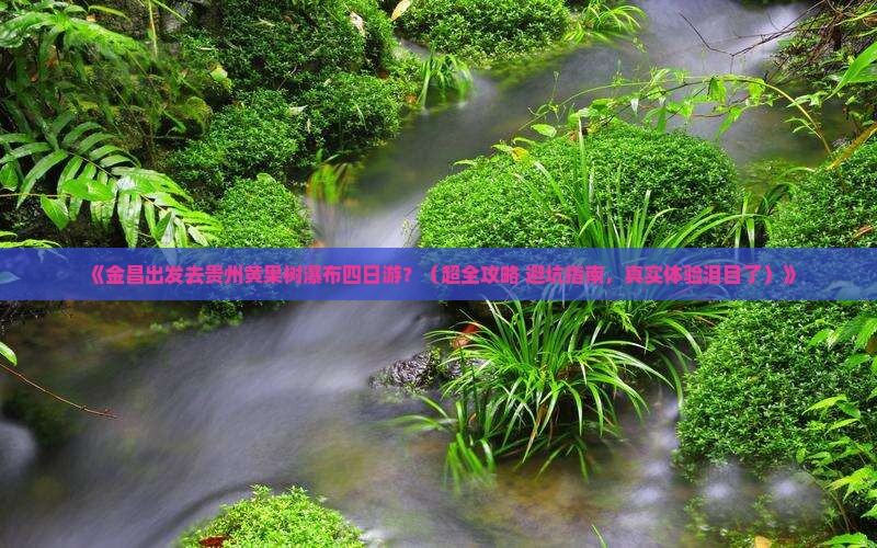金昌去贵州黄果树瀑布四日游