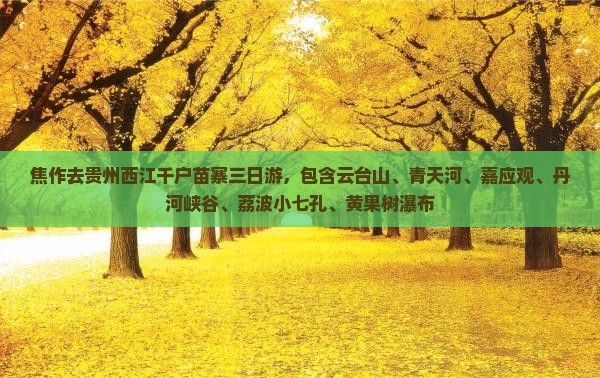 焦作去贵州西江千户苗寨三日游