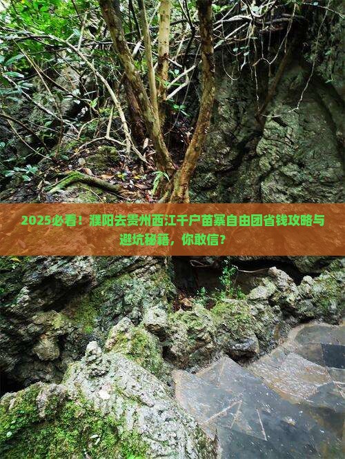 濮阳去贵州西江千户苗寨自由团