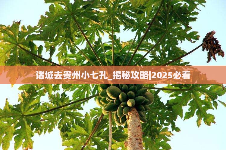 诸城去贵州小七孔大型旅游团