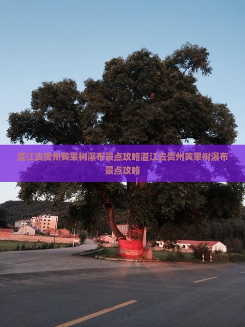 湛江去贵州黄果树瀑布景点