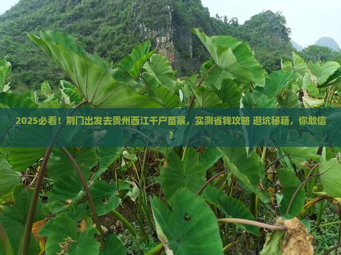 荆门去贵州西江千户苗寨个人游