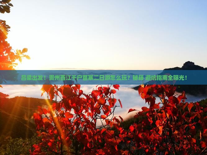 吕梁到贵州西江千户苗寨二日游