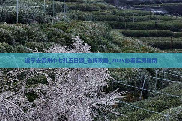 遂宁去贵州小七孔五日游