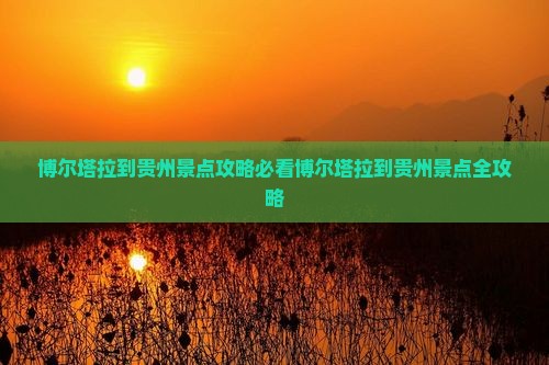 博尔塔拉到贵州景点
