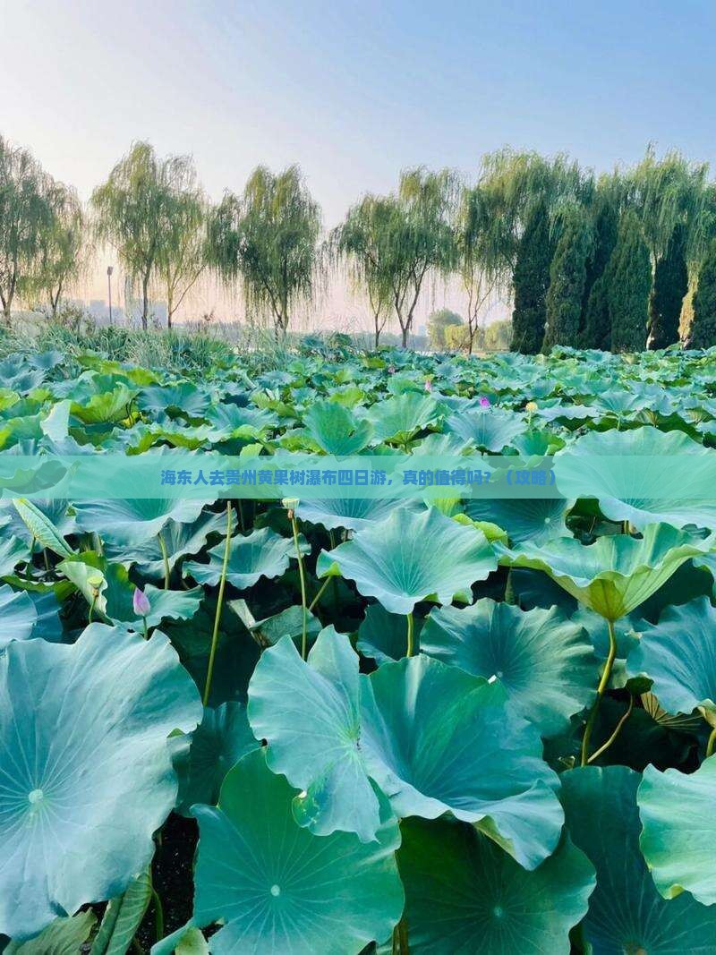 海东去贵州黄果树瀑布四日游