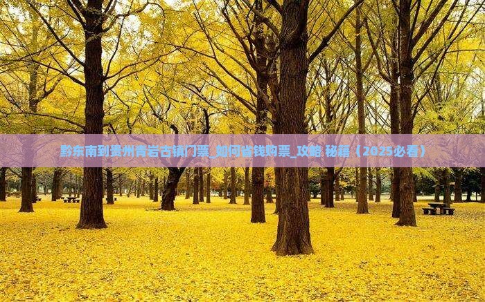 黔东南到贵州青岩古镇门票