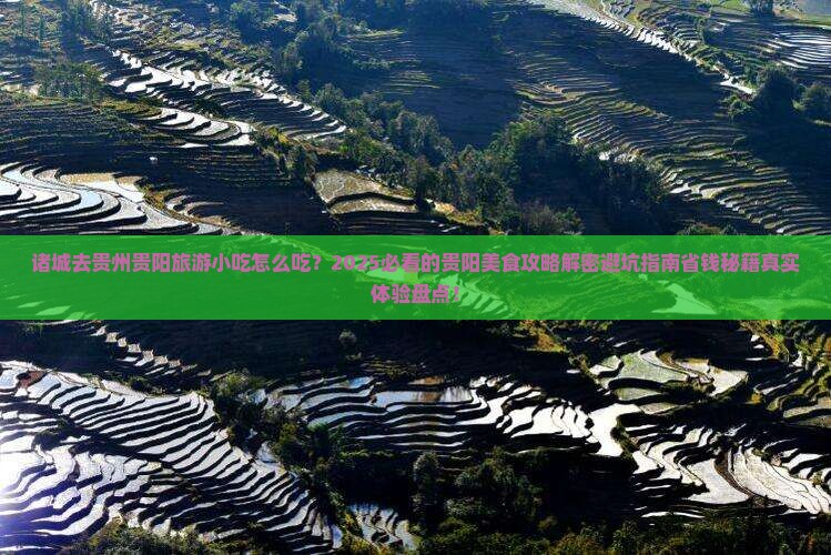 诸城去贵州贵阳旅游小吃