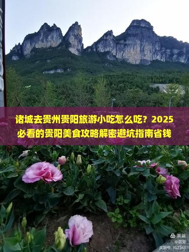 诸城去贵州贵阳旅游小吃