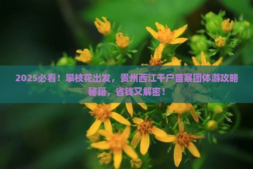 攀枝花到贵州西江千户苗寨团体旅游