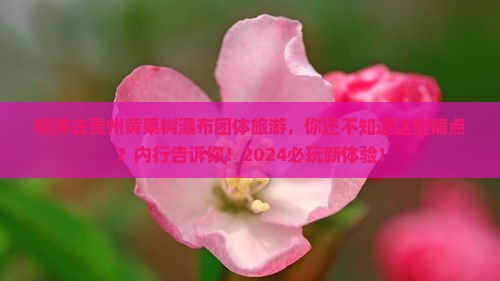 桂林去贵州黄果树瀑布团体旅游