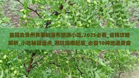 益阳去贵州黄果树瀑布旅游小吃