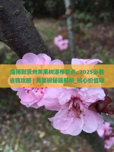 淄博到贵州黄果树瀑布景点