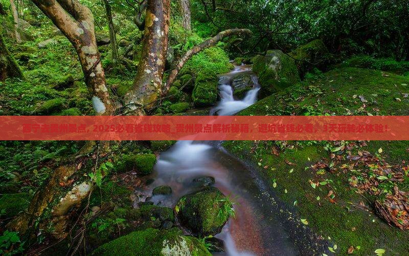 西宁去贵州景点