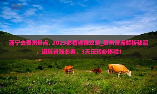 西宁去贵州景点