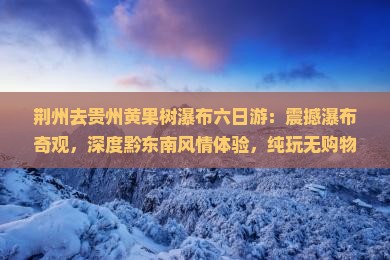 荆州去贵州黄果树瀑布六日游