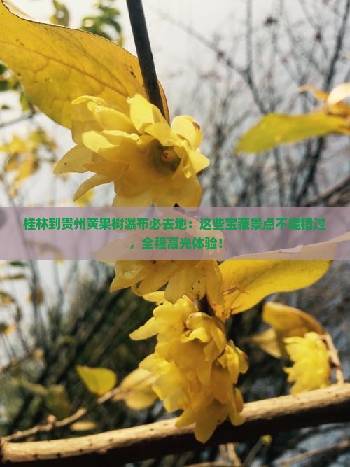 桂林到贵州黄果树瀑布必去地