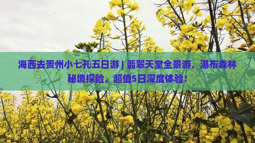 海西去贵州小七孔五日游