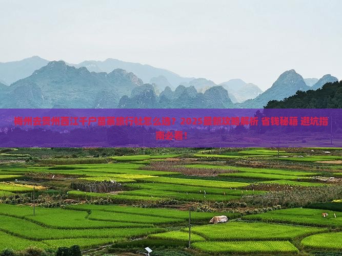 梅州去贵州西江千户苗寨旅行社